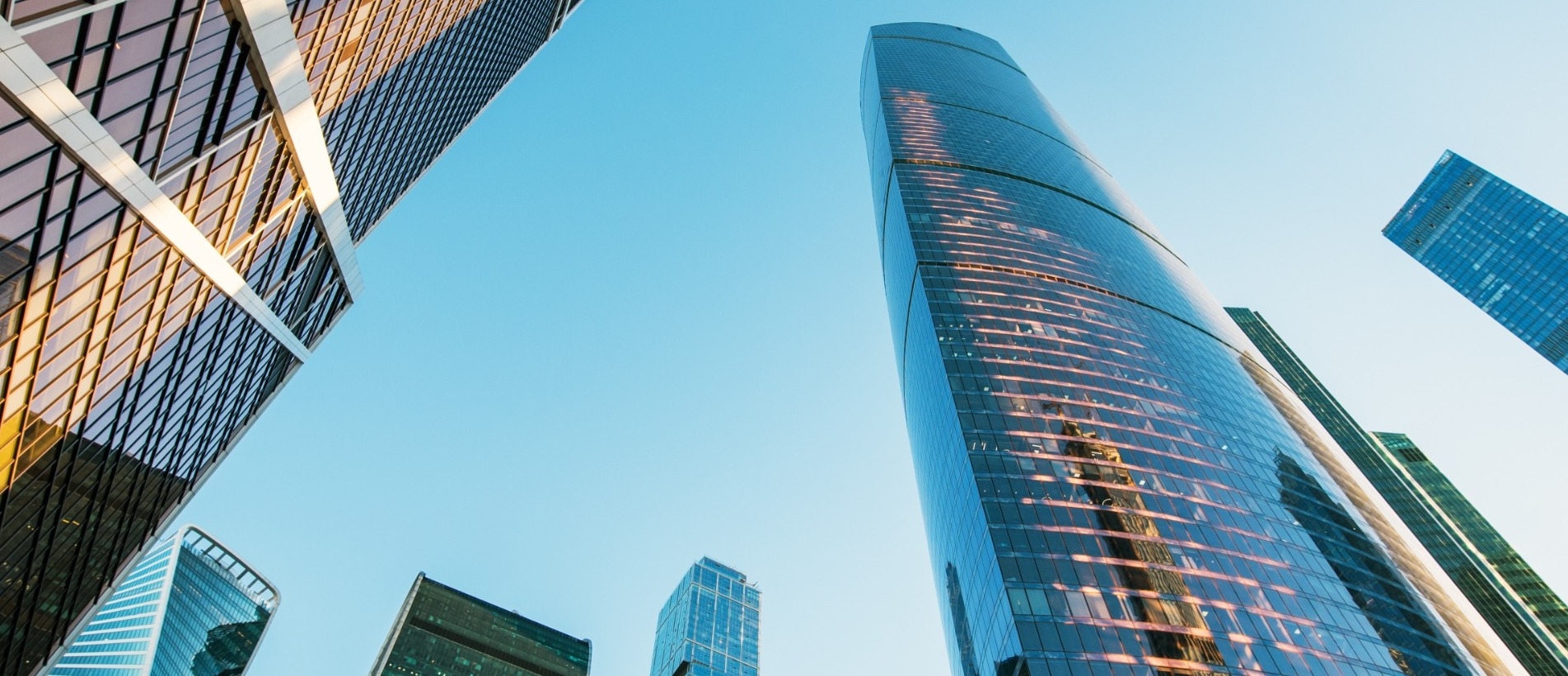 1903 x 820.jpg 1903 x 820.jpg